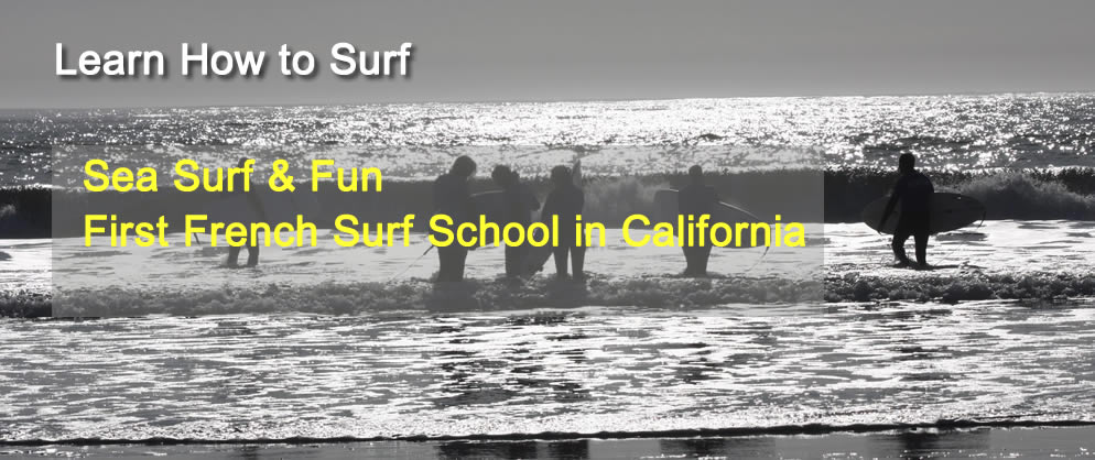 Learn How to Surf